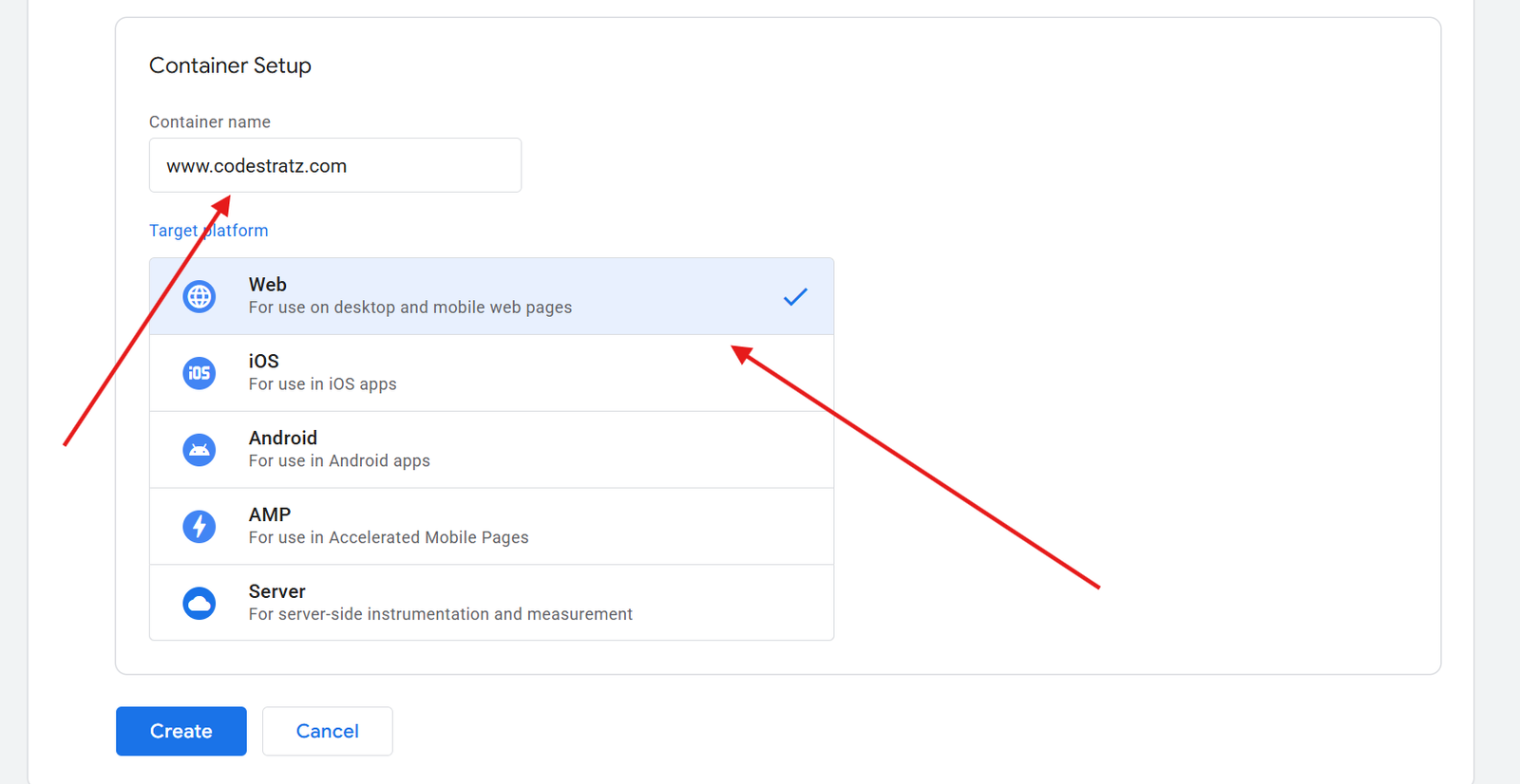 how to give container name and container platform in the Google Tag Manager 