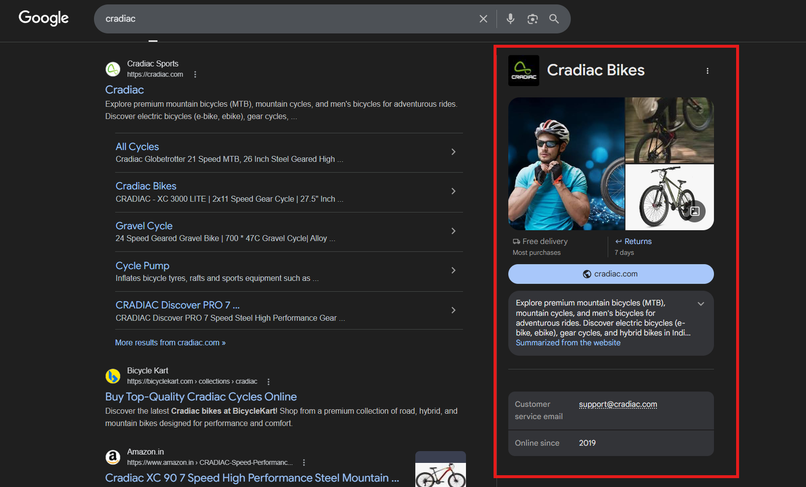 example of how a organisation schema implemented in a website will be dispalyed